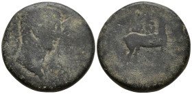 Roman Provincial
IONIA. Ephesos. Augustus with Livia (27 BC-14 AD)
AE Bronze (19.5mm 6g)
