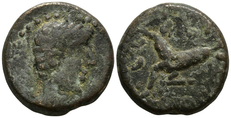 MYSIA. Kyzikos. Augustus (27 BC-14 AD)
AE Bronze (17.5mm 4.97g)
Obv: Bare head...