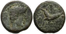 MYSIA. Kyzikos. Augustus (27 BC-14 AD)
AE Bronze (17.5mm 4.97g)
Obv: Bare head of Augustus to right.
Rev: CЄBACTOC Capricorn to left, head to right...