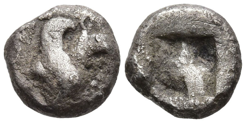 IONIA. Teos. (circa 550-540 BC).
AR Obol (8.4mm 0.76g)
Obv: Forepart of griffi...