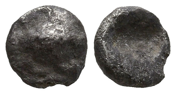 AR Hemitetartemorion (3.9mm 0.09g)