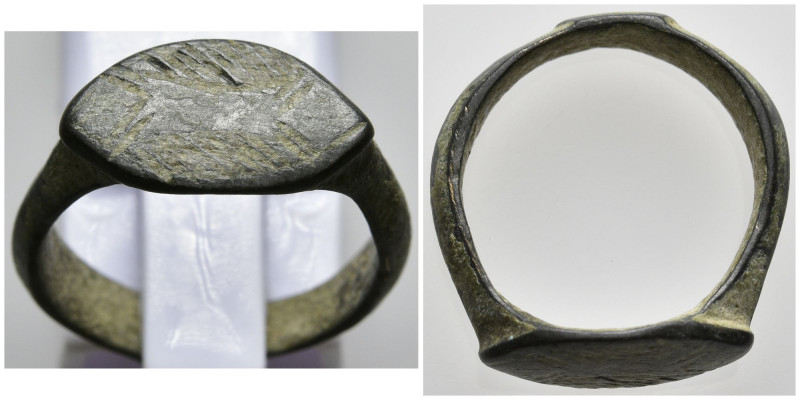 Ancient ring
(3.85g 21.6mm diameter)