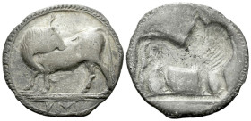 Lucania, Sybaris Nomos circa 550-510, AR 28.00 mm., 7.08 g.
Bull standing l. on dotted exergual line, looking backward; in exergue, VM. Rev. The same...