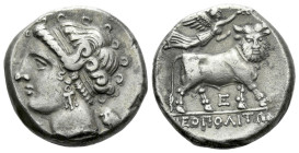 Campania , Neapolis Didrachm circa 275-250, AR 20.00 mm., 7.26 g.
Diademed head of nymph l., wearing earrings; in r. field, cantharus (?). Rev. [Ν]ΕΟ...