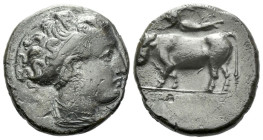 Campania , Neapolis Didrachm circa 395-385, AR 20.00 mm., 7.43 g.
Diademed head of nymph r. Rev. Man-headed bull walking l. on double exergue-line; a...