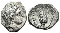 Lucania, Metapontum Nomos circa 330-290, AR 21.00 mm., 7.58 g.
Head of Demeter r., wearing wreath of grain and triple-pendant earring. Rev. META Barl...