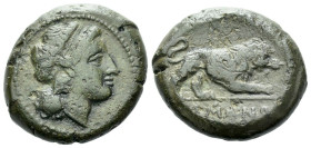 Unit After 276, Æ 19.80 mm., 9.80 g.
Female head r. Rev. Lion walking r.; in exergue ROMANO. Sydenham 5. RBW 10. Crawford 16/1a. Historia Numorum Ita...