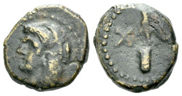 Sicily, Panormos Uncia or Chalkous circa 213-208, Æ 31.00 mm., 2.40 g.
Head of Herakles l., wearing lion skin. Rev. Upright club; pellet to l., X to ...
