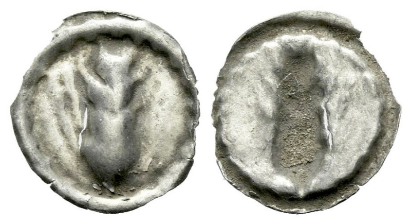 Lucania, Metapontum Hemiobol circa 540-510 BC., AR 9.00 mm., 0.08 g.
Ear of bar...