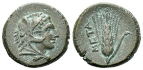Lucania, Metapontum Bronze circa 300-250, Æ 16.00 mm., 3.38 g.
Head of Heracles r., wearing lion skin headdress . Rev. Grain ear with leaf to r. John...