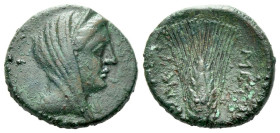 Lucania, Metapontum Bronze circa 300-250, Æ 16.00 mm., 2.74 g.
Veiled head of Demeter r., wearing stephane. Rev. Grain ear with bud to l.; monogram t...