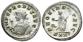 Probus, 276-282 Antoninianus Rome circa 276-282, billon 24.00 mm., 3.82 g.
Radiate bust l., wearing Imperial mantle and holding sceptre. Rev. Provide...