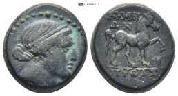 AEOLIS. Kyme. Circa 250-200 BC. AE (Bronze, 19mm, 8.7 g), Pythas, magistrate. Diademed head of the Amazon Kyme to right. Rev. KYMAI/ΩN - ΠYΘAΣ Horse p...