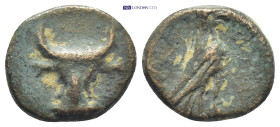 ASIA MINOR. Uncertain.(Circa 1st century).Ae. (16mm, 3.5 g) Obv : Head of bull facing. Rev : Eagle to right.