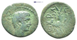 MYSIA. Cyzicus. Augustus (27 BC-AD 14). Ae. (16mm, 3.0 g) Obv: Bare head right. Rev: CEBACTOC. Capricorn left, head right.