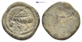 Lead Seal. (14mm, 4.3 g)