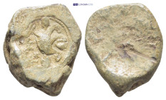 Lead Seal. (19mm, 11.5 g)