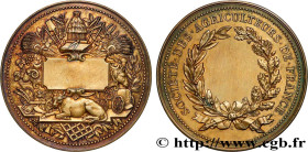 INSURANCES
Type : Médaille de récompense, Société des agriculteurs 
Date : n.d. 
Metal : gold plated silver 
Diameter : 54,5  mm
Engraver : TROTIN Cha...