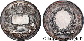 INSURANCES
Type : Médaille de récompense, Société des agriculteurs 
Date : n.d. 
Metal : silver 
Diameter : 54,5  mm
Engraver : TROTIN Charles (1833-?...