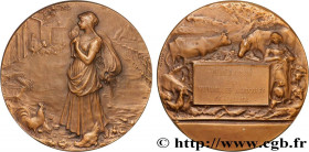 INSURANCES
Type : Médaille, Fédération des mutuelles agricoles de l’Allier 
Date : n.d. 
Metal : bronze 
Diameter : 50  mm
Engraver : DUBOIS Henri (18...