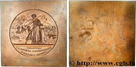 FRENCH STATE
Type : Médaille, Compagnie d’Assurances générales contre l’incendie, matrice de l’avers 
Date : n.d. 
Metal : bronze 
Diameter : 96,5  mm...