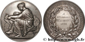 III REPUBLIC
Type : Médaille, Association des industriels du Nord contre les accidents 
Date : 1896 
Metal : silver 
Diameter : 50,5  mm
Engraver : CH...