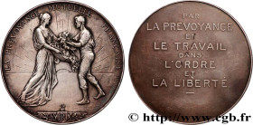 INSURANCES
Type : Médaille, Prévoyance mutuelle française 
Date : n.d. 
Metal : silver plated bronze 
Diameter : 69,5  mm
Engraver : DEVREESE Godefroi...