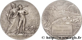 INSURANCES
Type : Médaille, La Prudente 
Date : n.d. 
Metal : silver plated bronze 
Diameter : 49,5  mm
Engraver : COUDRAY Marie Alexandre Lucien (186...