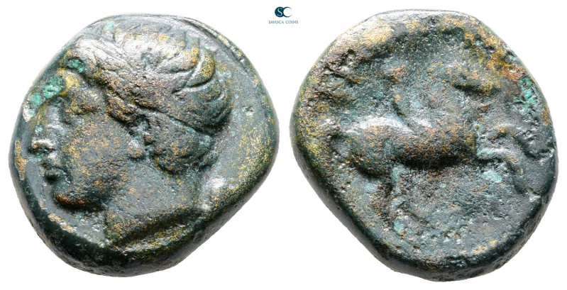 Kings of Macedon. Uncertain mint. Philip II of Macedon 359-336 BC. 
Bronze Æ
...