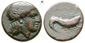 Mysia. Priapos circa 250-200 BC. Bronze Æ