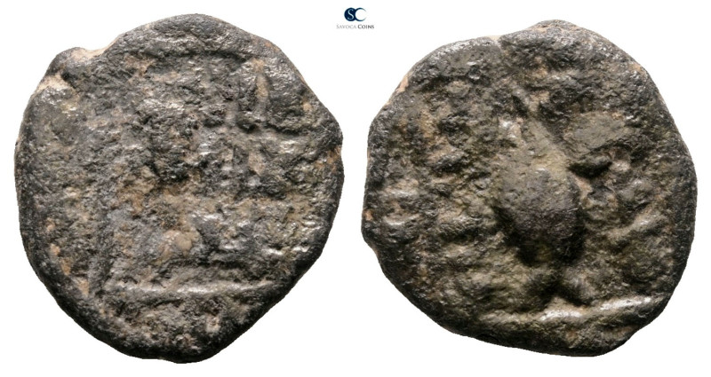 Umayyad. Baysan mint . ND,Fish in Rev
Æ Fals

17 mm, 2,96 g



Good Fine