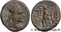 SYRIA - SELEUKID KINGDOM - TIGRANES
Type : Chalque 
Date : c. 89-69 AC 
Mint name / Town : Antioche, Syrie 
Metal : copper 
Diameter : 20 mm
Ori...