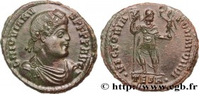 JOVIAN
Type : Double maiorina, (GB, Æ 1) 
Date : 363-364 
Mint name / Town : Thessalonique 
Metal : copper 
Diameter : 29 mm
Orientation dies : ...