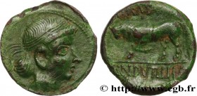 GALLIA BELGICA - REMI (Area of Reims)
Type : Bronze GERMANVS INDVTILLI au taureau (Quadrans) 
Date : c. 10 AC. 
Mint name / Town : Reims (51) 
Met...