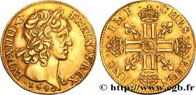 LOUIS XIII
Type : Louis d'or à la mèche courte, 1er type 
Date : 1640 
Mint name / Town : Paris, Monnaie du Louvre 
Quantity minted : 563260 
Met...