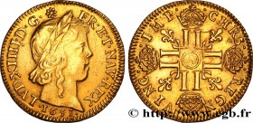 LOUIS XIV "THE SUN KING"
Type : Louis d'or à la mèche longue 
Date : 1651 
Mint name / Town : Paris 
Quantity minted : 521041 
Metal : gold 
Mil...