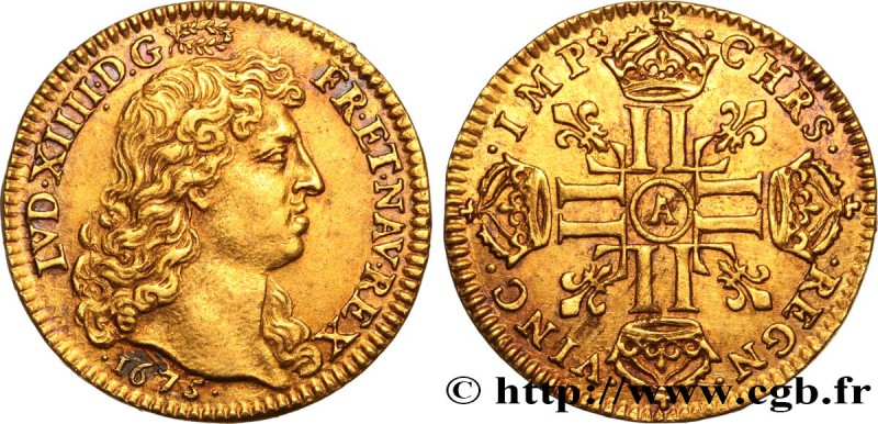 LOUIS XIV "THE SUN KING"
Type : Louis d'or à la tête nue 1er type 
Date : 1675...