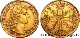 LOUIS XIV "THE SUN KING"
Type : Louis d'or à la tête nue 1er type 
Date : 1675 
Mint name / Town : Paris 
Quantity minted : 89356 
Metal : gold ...