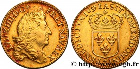 LOUIS XIV "THE SUN KING"
Type : Double louis d'or à l'écu à la tranche cordonnée 
Date : 1691 
Mint name / Town : Paris 
Quantity minted : 66731 ...