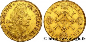 LOUIS XIV "THE SUN KING"
Type : Double louis d'or aux quatre L 
Date : 1693-1699 
Date : n.d. 
Mint name / Town : Paris 
Quantity minted : 19513 ...
