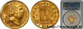LOUIS XVIII
Type : 20 francs or Louis XVIII, tête nue 
Date : 1820 
Mint name / Town : Perpignan 
Quantity minted : 60.147 
Metal : gold 
Diamet...