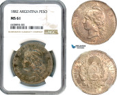 Argentina, Peso 1882, Silver, KM# 29, Old toning, NGC MS61