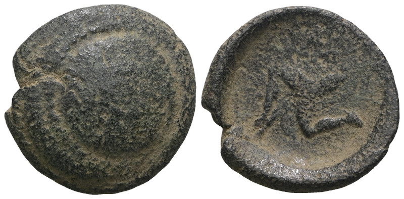 Greek bronze coin. Weight 4,55 gr - Diameter 19 mm