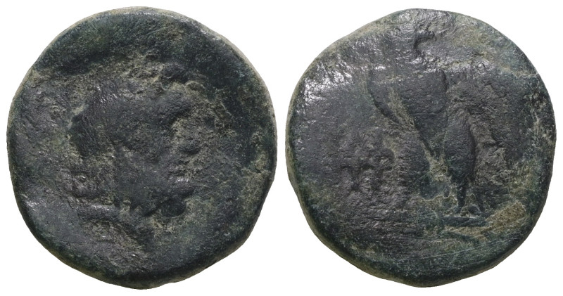 Greek bronze coin. Weight 6,36 gr - Diameter 18 mm