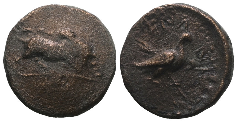 Greek bronze coin. Weight 3,58 gr - Diameter 15 mm