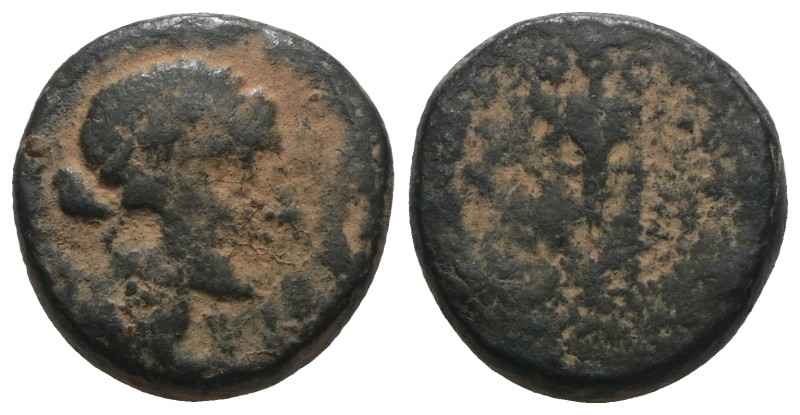 Greek bronze coin. Artificial Sandpatina. Weight 4,22 gr - Diameter 13 mm