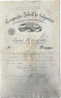Portugal
Company Fabril de Salgueiros 1885
Title of one stock. Signed and stamped. 
Good XF