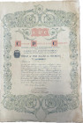 Portugal - Company Portuguesa de Cortumes 1928. 
Title of one stock. Signed. Good XF