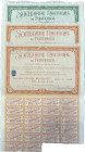Portugal - Lot of 3 titles. Sociedade Nacional de Fósforos. UNC
