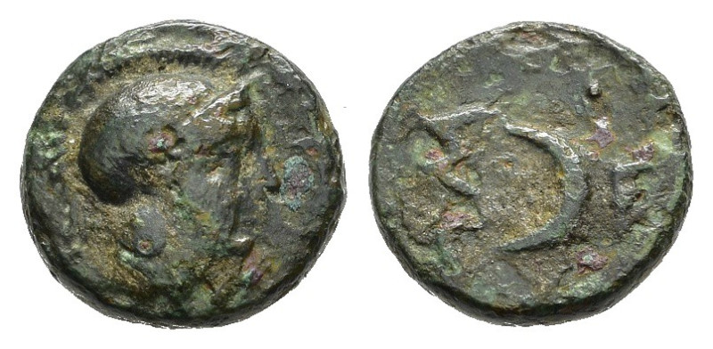 TROADE. Sigeion. Bronzo. IV secolo a.C. AE (1,05). D/ testa elmata di Atena a de...